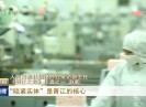晋江新闻2017-03-19