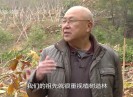 【老闽南】春分