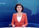 晋江新闻2017-04-08