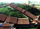 晋江新闻2017-04-29