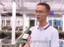 晋江财经报道2017-05-08