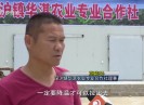 晋江财经报道2017-06-29