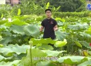 【老闽南】三伏热