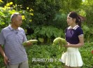 【老闽南】立秋2017-08-10