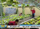 新闻天天报2017-11-23