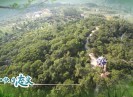 新闻天天报2017-11-13