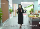 【聚焦晋江】