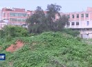 晋江新闻2019-04-29
