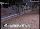 新闻天天报2019-06-28