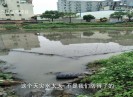 晋江财经报道2019-07-04