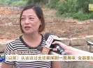 晋江新闻2019-08-15