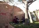 【老闽南】微景观 寄乡愁