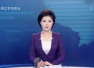 晋江新闻2019-11-26