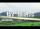 晋江新闻2019-11-08