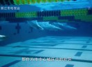 【聚焦晋江】2020，两会绘就“作战图”