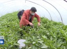 晋江新闻2020-02-23