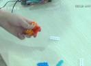 彩虹桥2020-02-12