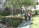 新闻天天报2020-03-13