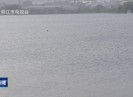 晋江新闻2020-05-17