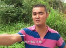 新闻天天报2020-06-04