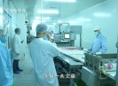晋江财经报道2020-08-14