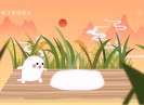 晋江财经报道2020-08-18