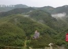 【老闽南】觚中暗香来