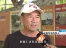 新闻天天报2020-10-31
