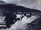 【新视线】芳华岁月 柯达斯