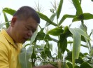 晋江财经报道2020-11-17