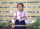 彩虹桥2020-11-07