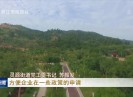 晋江新闻2020-11-13
