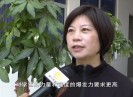 新闻天天报2020-11-18
