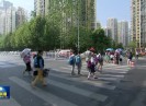 新闻天天报2020-11-15