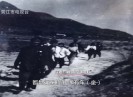【新视线】芳华岁月 柯斯达