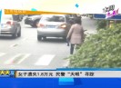 新闻天天报2021-03-14