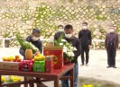 新闻天天报2021-03-31