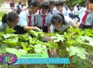 彩虹桥2021-07-10