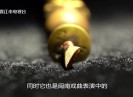 【老闽南】醉“嗳”闽南味