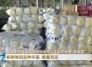 晋江新闻2022-04-01