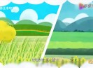 彩虹桥2022-05-21