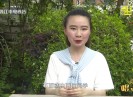 彩虹桥2022-06-11
