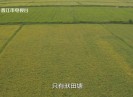 【老闽南】古今传承护河湖