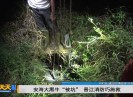 新闻天天报2022-11-16