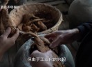 【老闽南】一头菜脯一条参