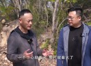 新闻天天报2023-03-13
