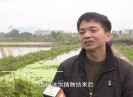 新闻天天报2023-03-31