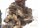 【老闽南】晋江滋味上鲜啦