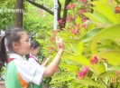 彩虹桥2023-07-08