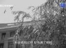 【老闽南】蒙以养正 果行育德
